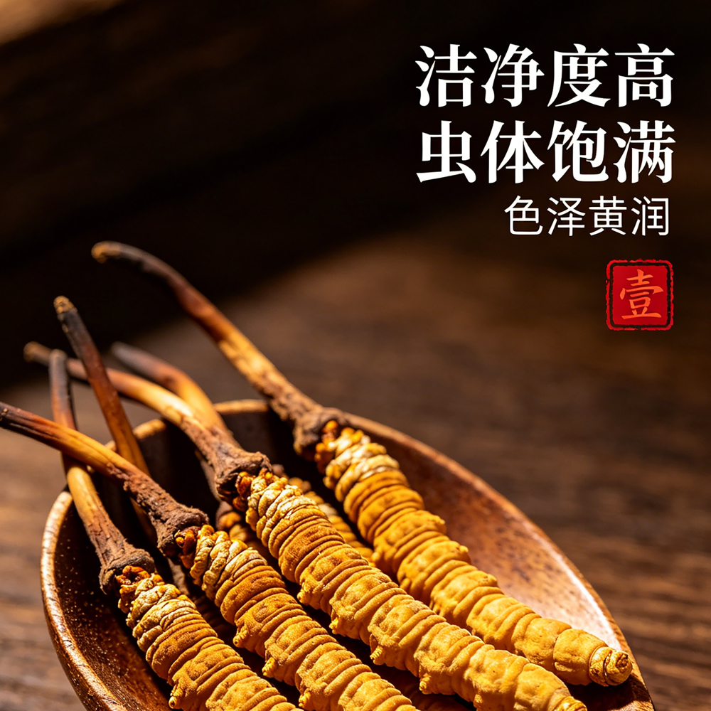 西藏冬虫夏草